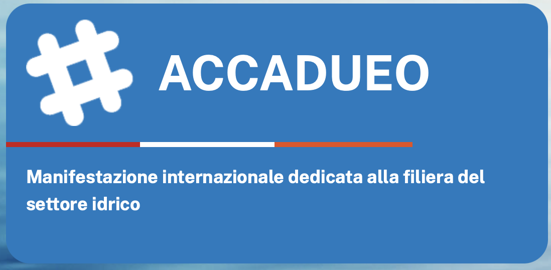 Accadueo 2024